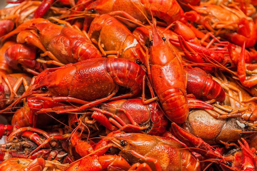 Order 1Lbs Crawfish food online from Moruss Seafood And Crab store, Washington on bringmethat.com