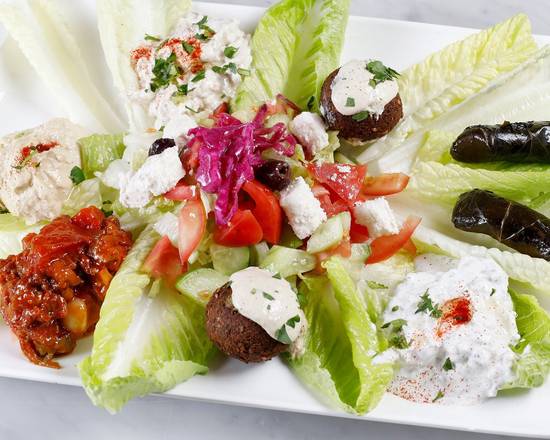 Order Appetizer Combo Plate food online from Van Ness Cafe & Gyros store, San Francisco on bringmethat.com