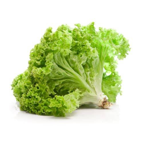 Order Organic Green Leaf Lettuce (1 ct) food online from Albertsons store, Lafayette on bringmethat.com