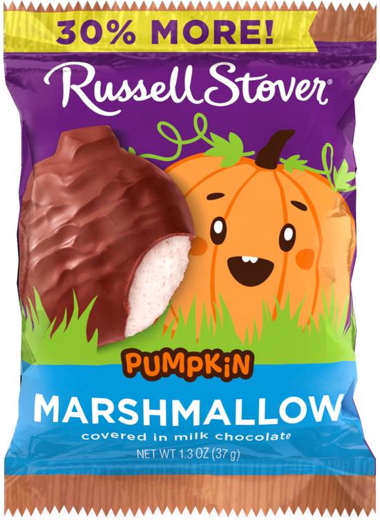 Order Russell Stover Milk Chocolate Marshmallow Pumpkin - Single, 1.3 oz food online from Rite Aid store, JAMESTOWN on bringmethat.com