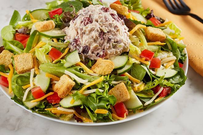 Order Harvest Chicken Salad (contains pecans) food online from Mcalister 9025 store, Warsaw on bringmethat.com
