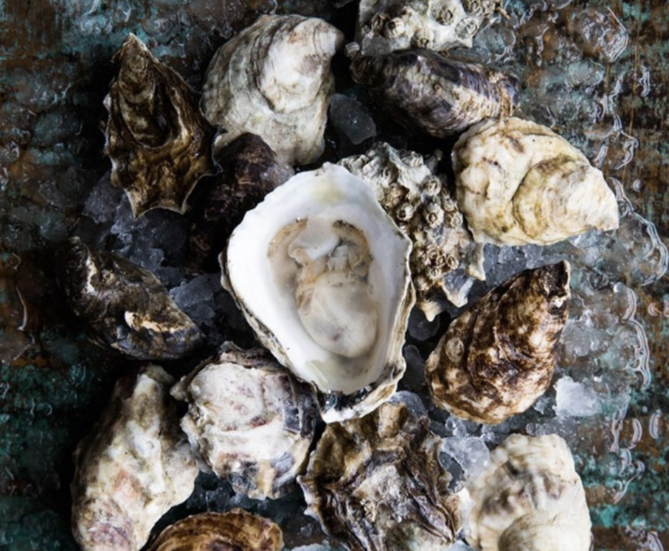Order Shuck Oysters At Home! - Half Dozen food online from Oyster Bah store, Chicago on bringmethat.com