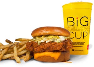 Order Hot Chicken Sandwich with Cheese Combo food online from Trailer Birds store, Carencro on bringmethat.com