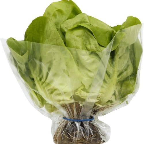 Order Pete's Living Greens · Butter Lettuce (1 ct) food online from Safeway store, Tucson on bringmethat.com
