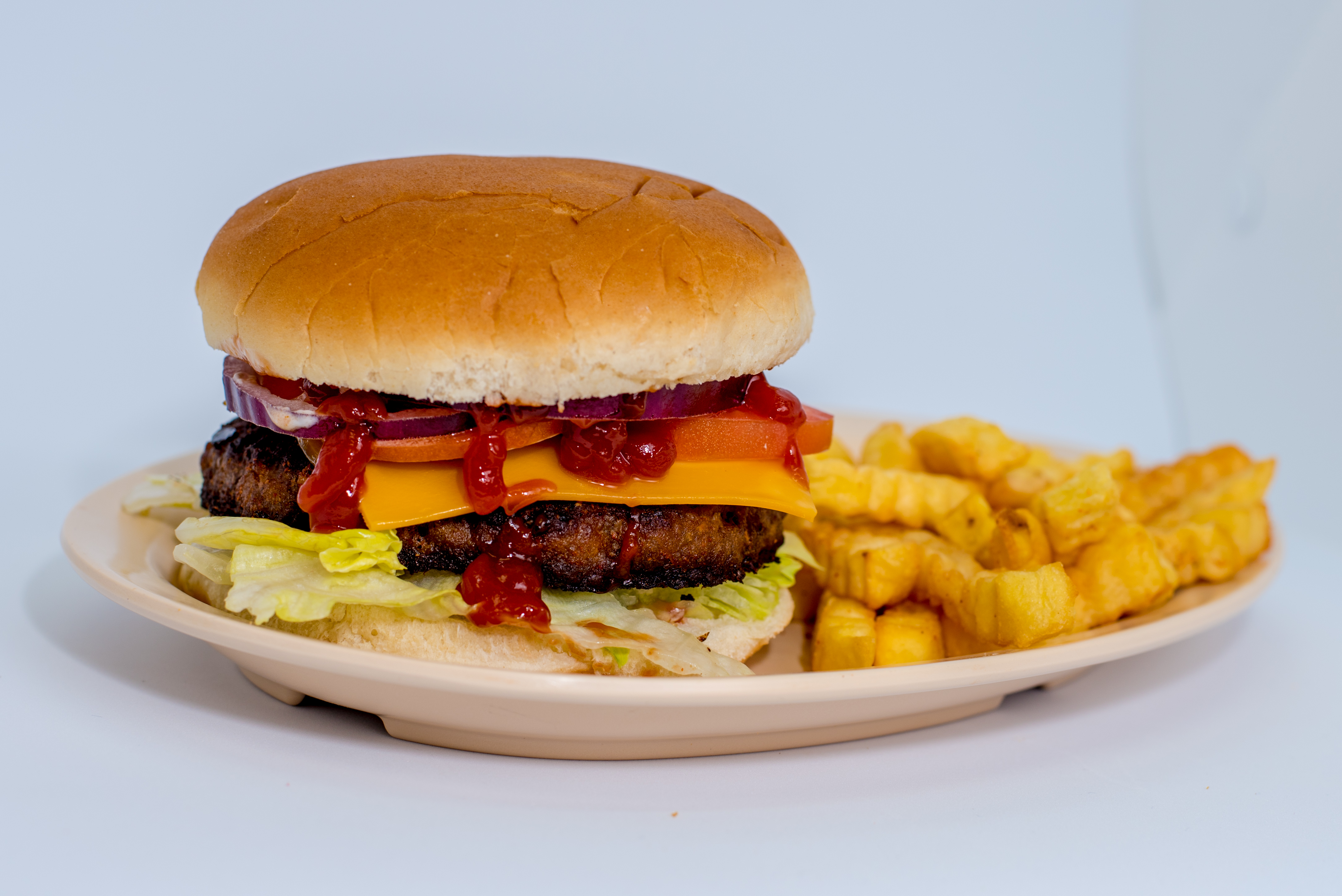 Order M6. Cheese Burger food online from Fish Skillet Seafood store, Houston on bringmethat.com