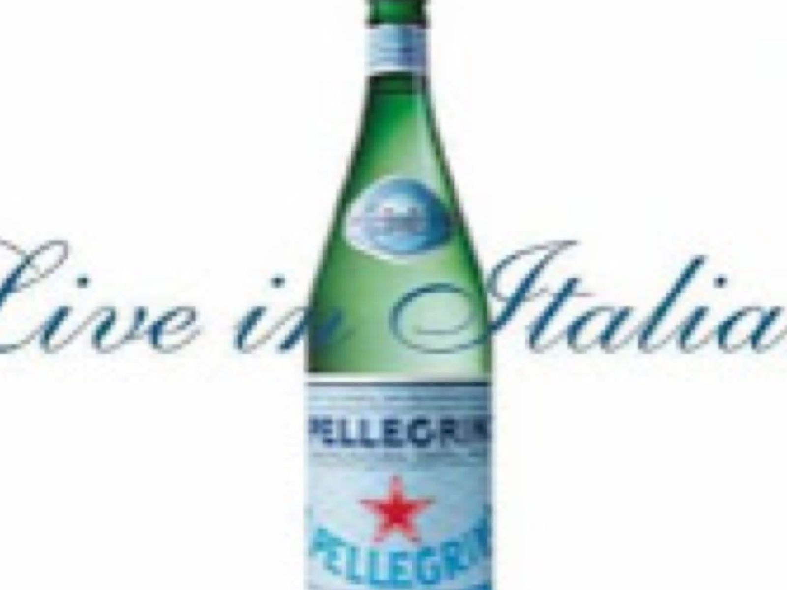 Order Pellegrino Bottle food online from Madison Cafe & Grill store, Creskill on bringmethat.com
