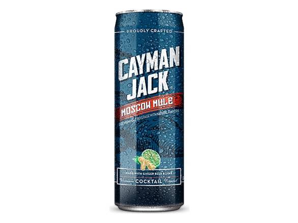 Order Cayman Jack Moscow Mule - 19.2oz Can food online from Jenny Liquors store, Mt Prospect on bringmethat.com