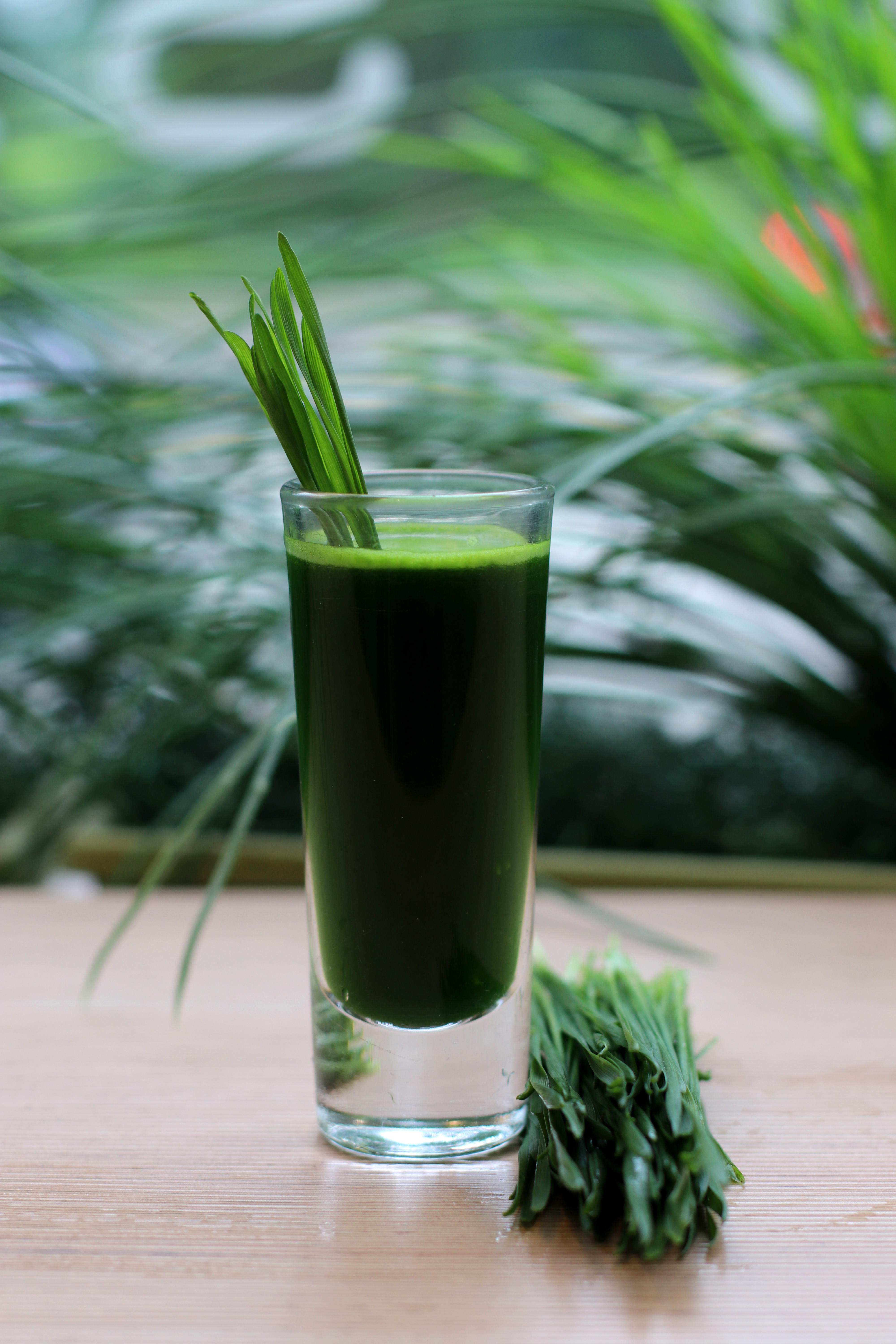 Order Wheatgrass Shot food online from Green Point Juicery store, Morristown on bringmethat.com