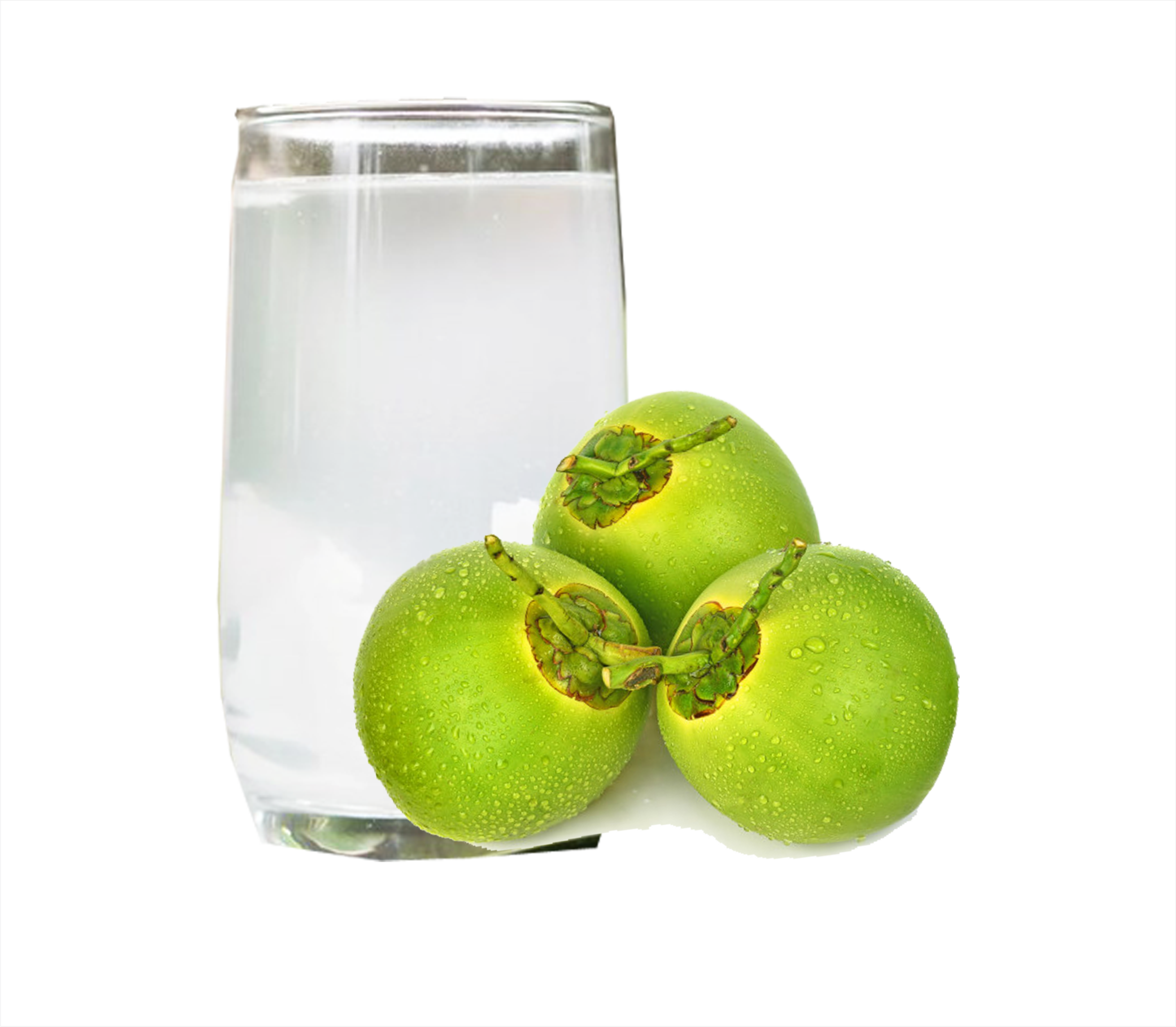 Order Young Coconut Juice - Nước Dừa food online from Pho House 99 store, Garden Grove on bringmethat.com