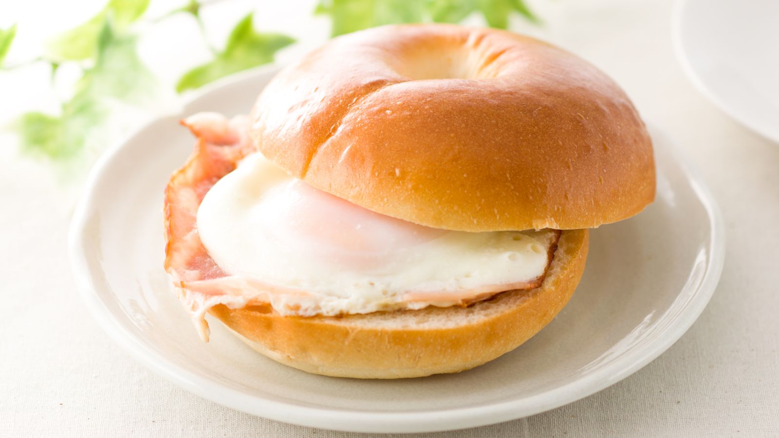 Order Egg White Bagel Sandwich food online from Ny Jumbo Bagels store, New York on bringmethat.com