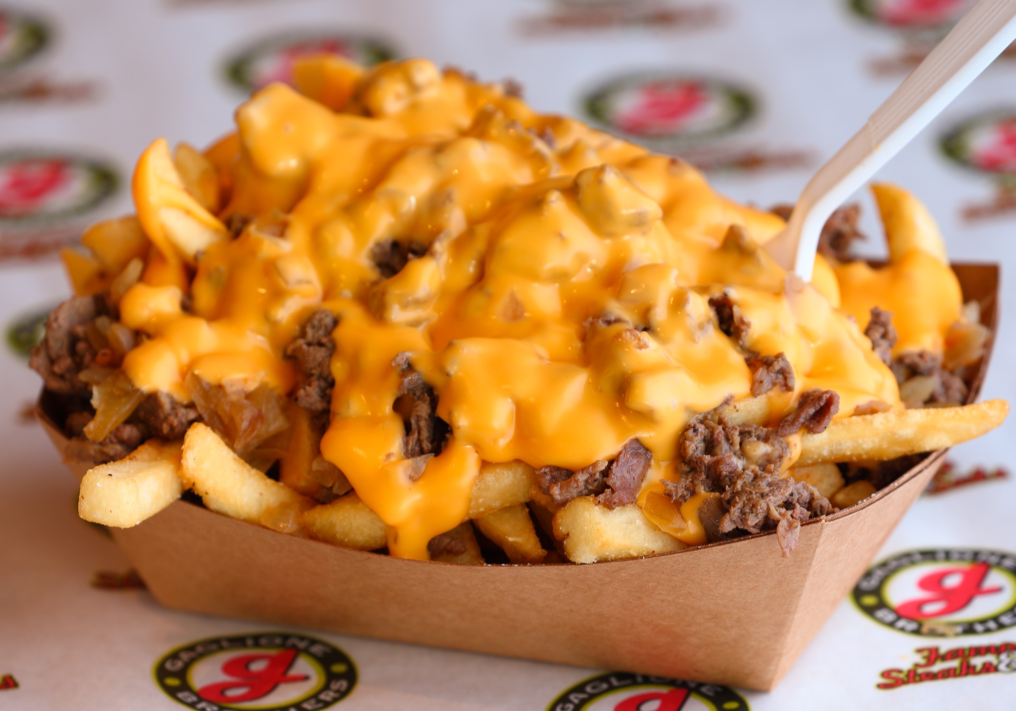Order Cheesesteak Fries food online from Gaglione Brothers store, San Diego on bringmethat.com