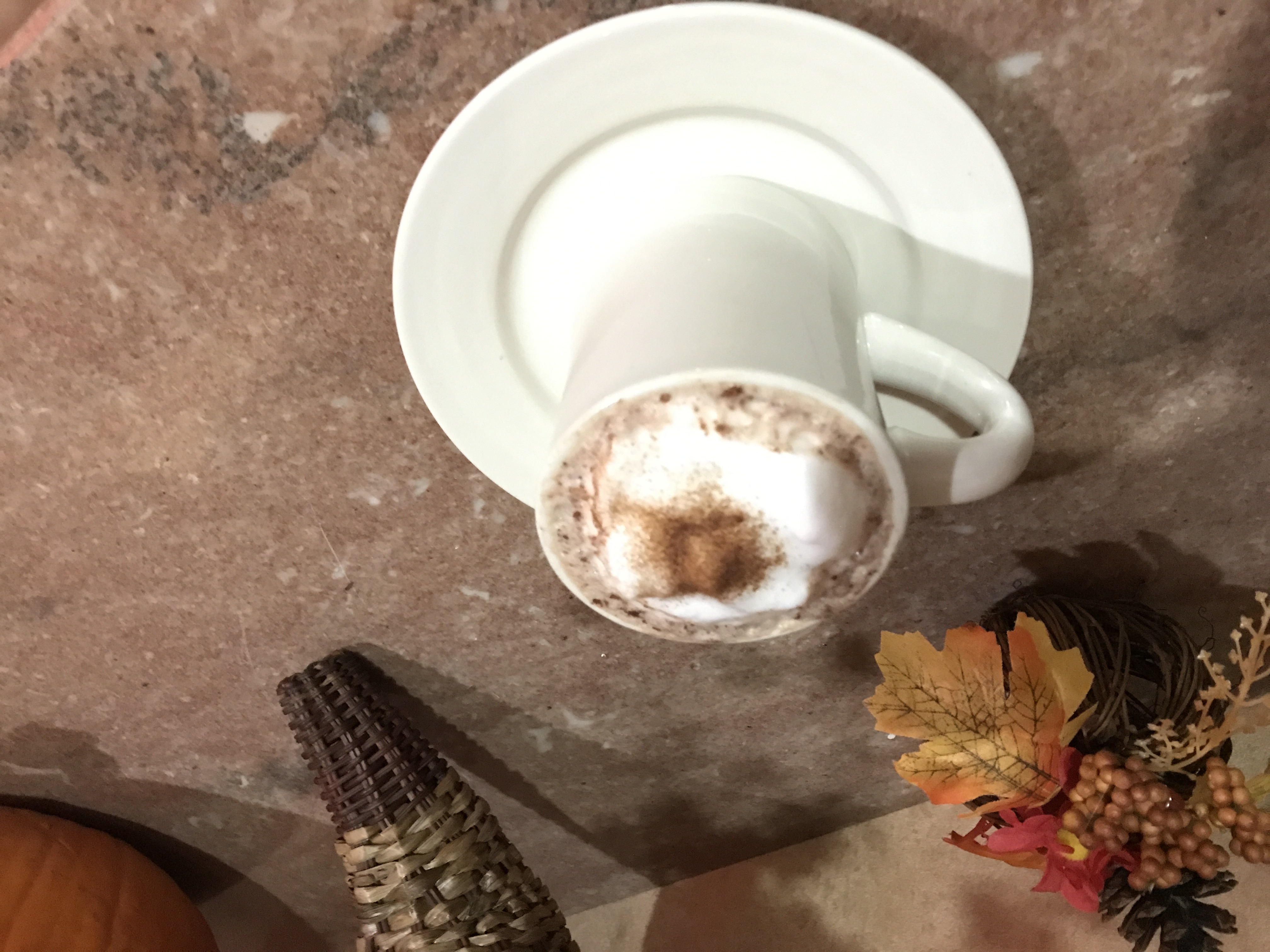 Order Hot Chocolate with Whipped Cream food online from The Original Venice Restaurant store, Bronx on bringmethat.com