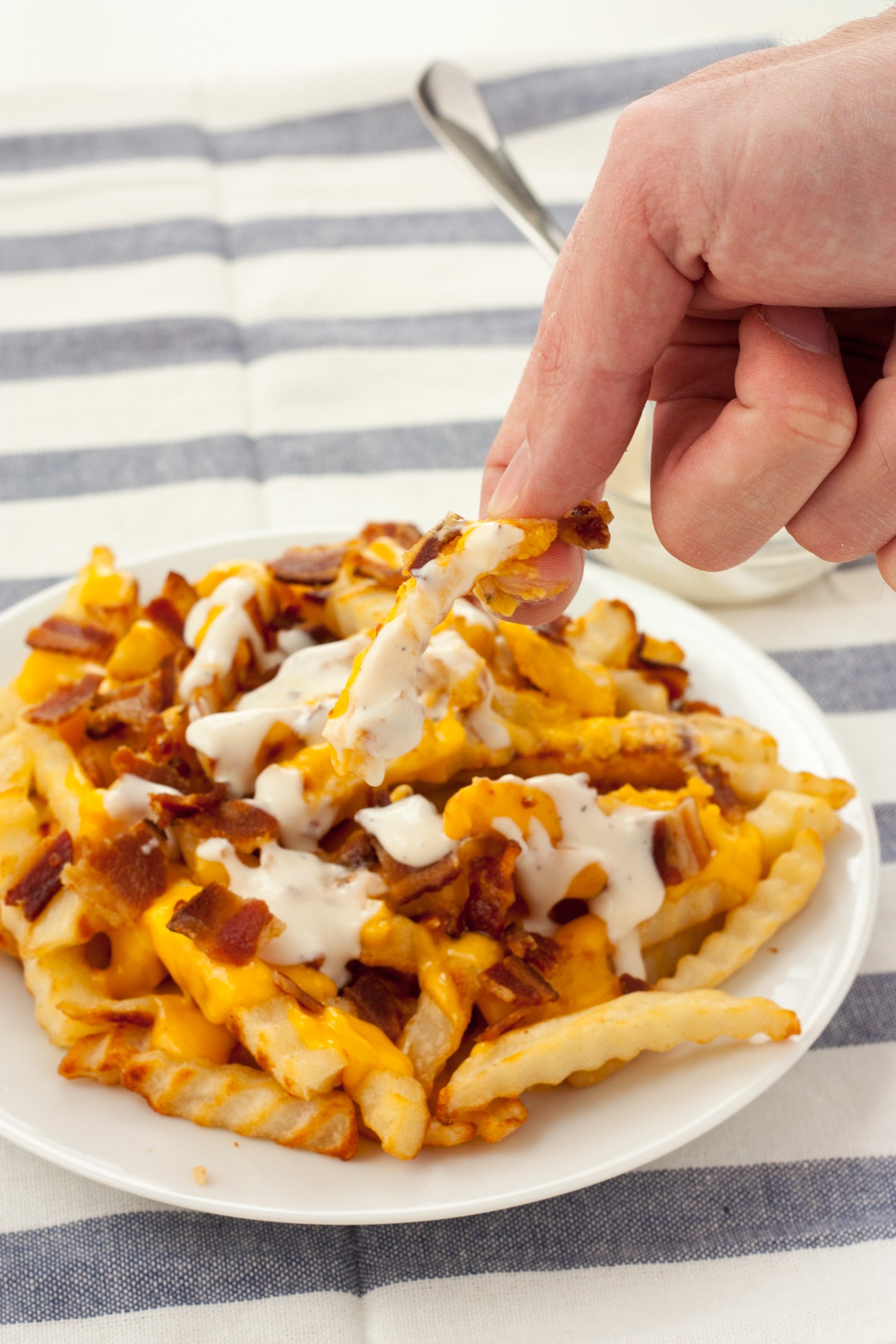 Order Bacon Cheese Fries food online from Two Cousins Paradise store, Paradise on bringmethat.com