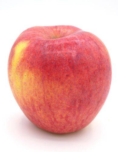 Order Organic Fuji Apples (1 apple) food online from Winn-Dixie store, Zachary on bringmethat.com