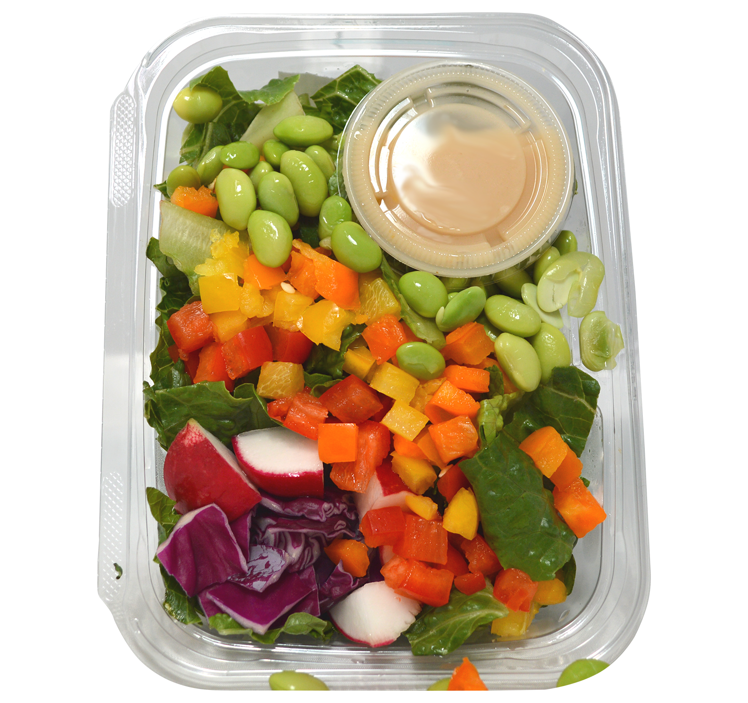 Order Rainbow Salad food online from Better Health Cafe store, Bloomfield Hills on bringmethat.com