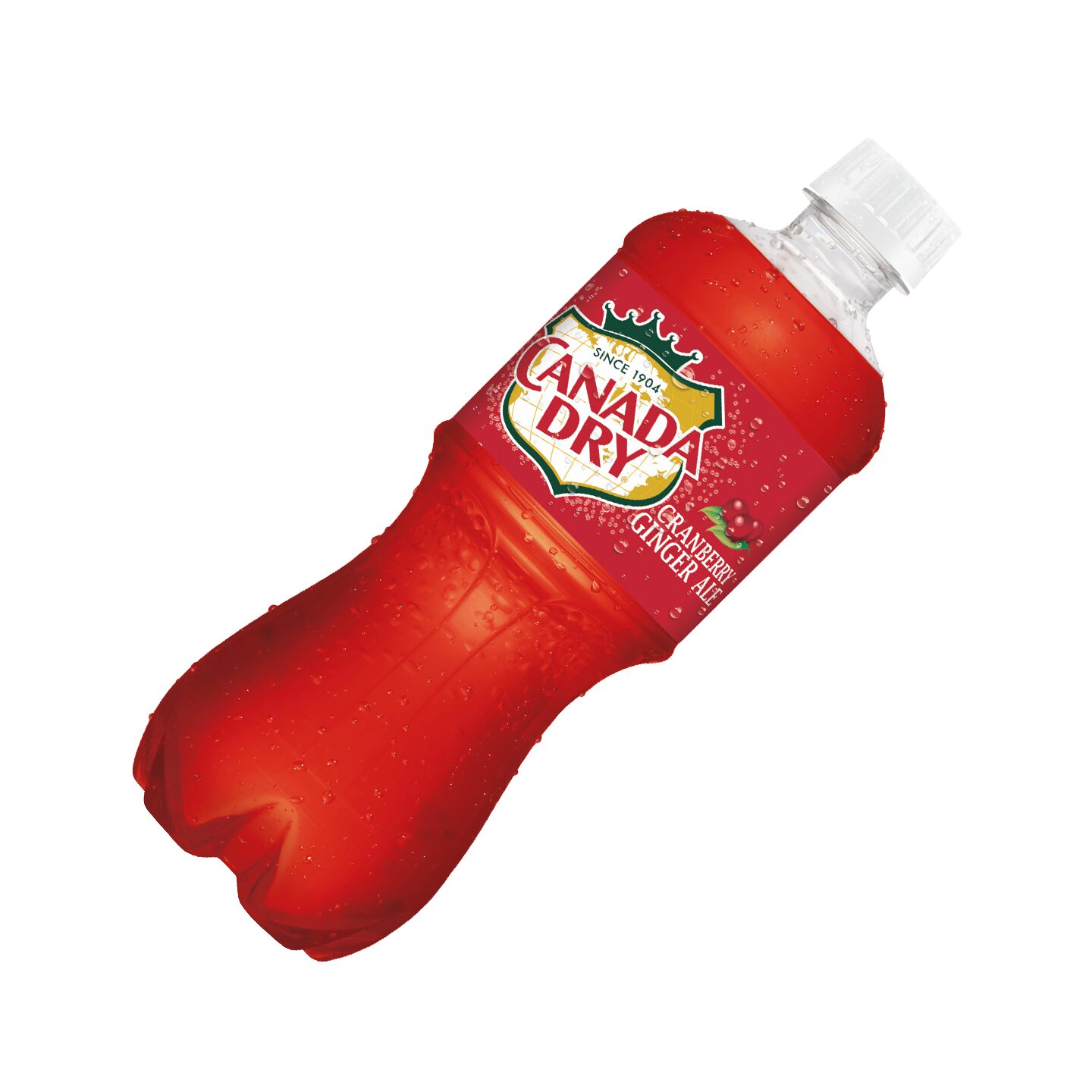 Order Canada Dry Cranberry Ginger Ale 20oz food online from Sheetz store, Coraopolis on bringmethat.com