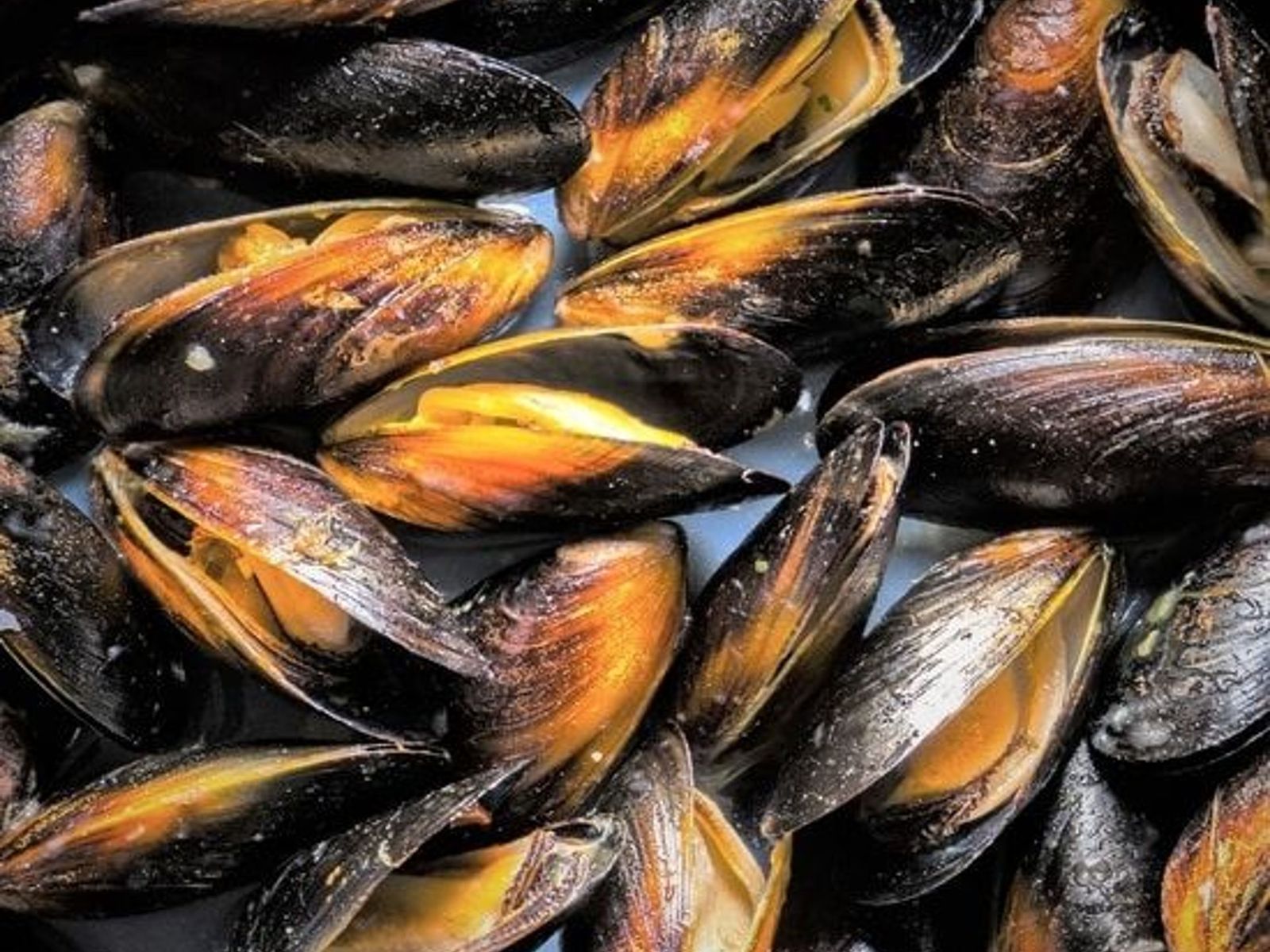 Order M6. Black Mussel food online from Juicy Seafood store, Clarksville on bringmethat.com