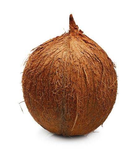 Order Coconut (1 coconut) food online from Winn-Dixie store, Pinson on bringmethat.com