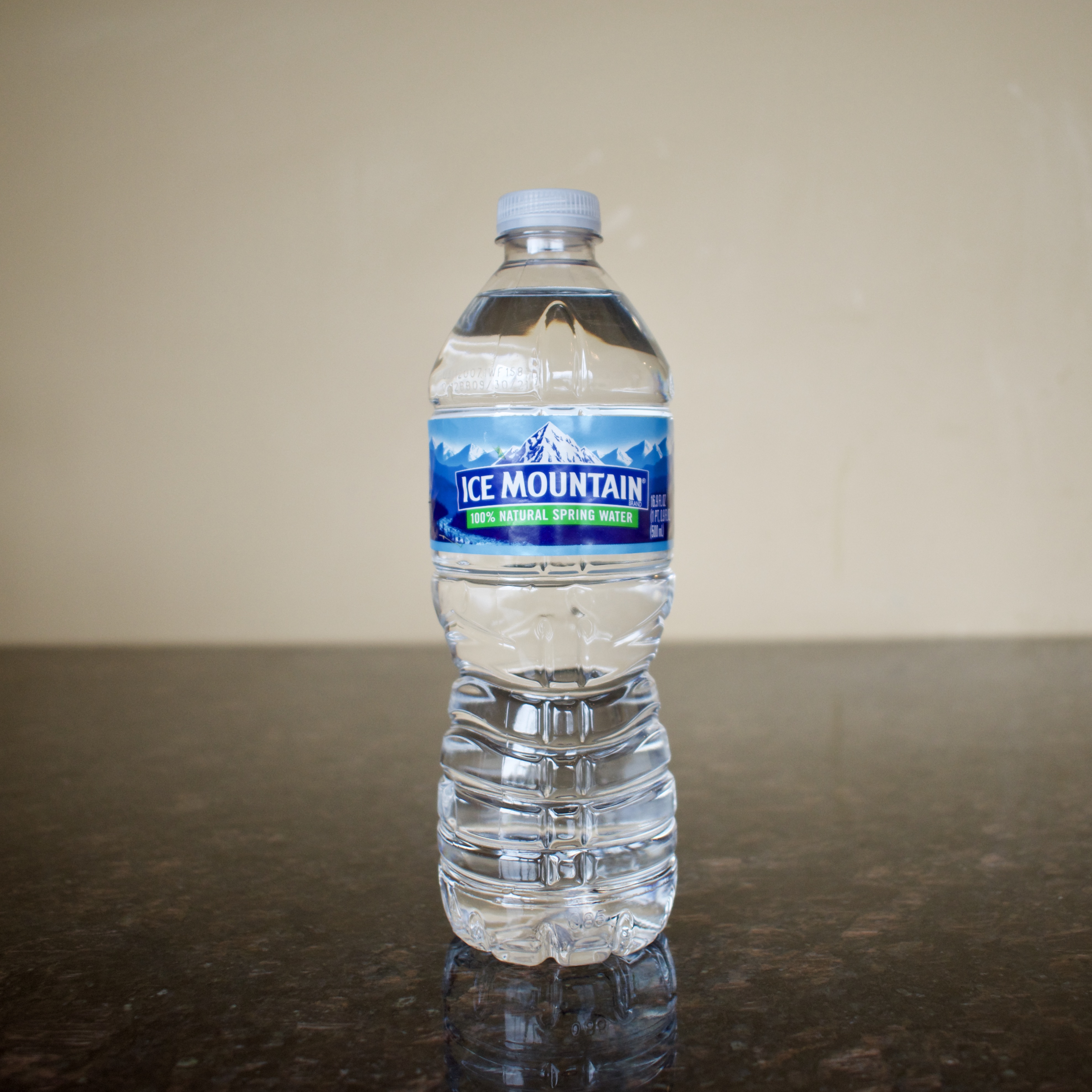 Order Ice Mountain Water food online from Pita Inn store, Naperville on bringmethat.com