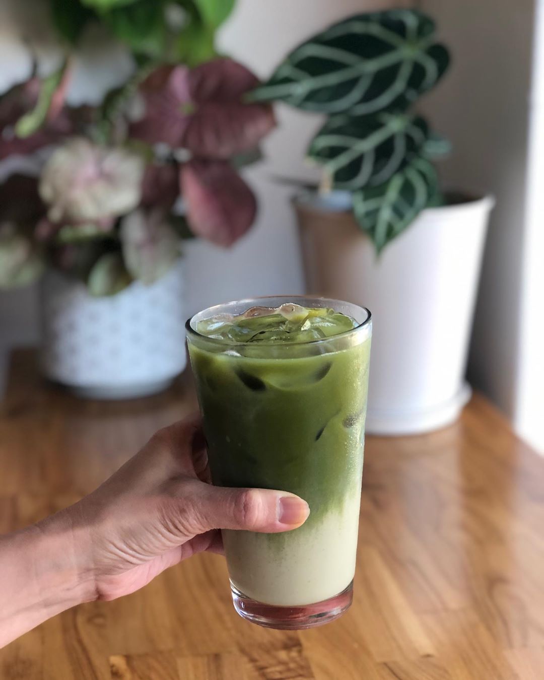 Order Iced  Matcha Latte (dairy free) food online from Good Goose Cafe store, Los Angeles on bringmethat.com