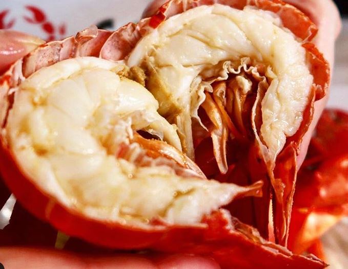 Order Fresh whole Lobster(1.25-1.5#) food online from Holly Crab store, Boston on bringmethat.com