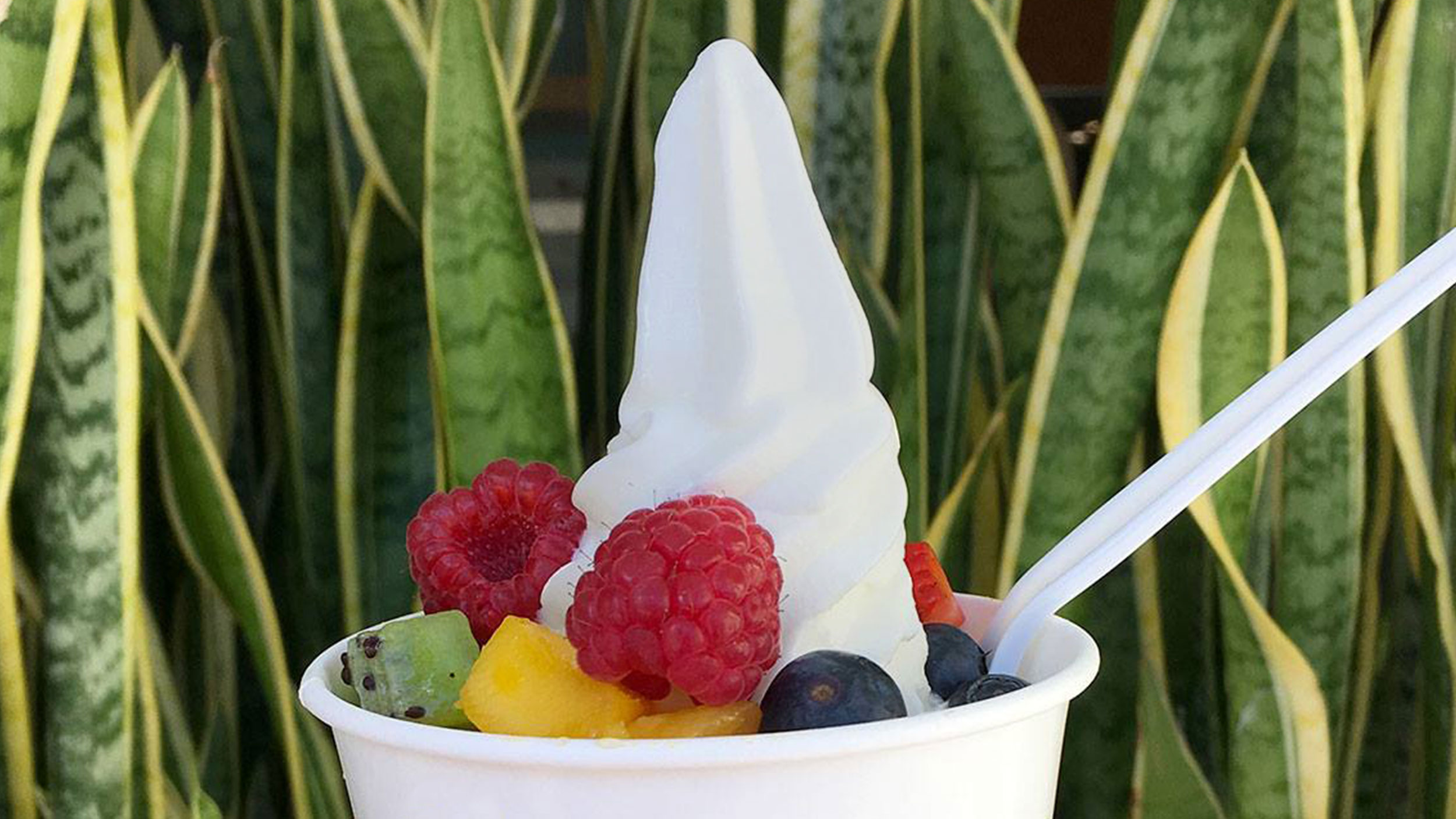 Order Frozen Yogurt with Toppings food online from Pinkberry store, Elk Grove on bringmethat.com