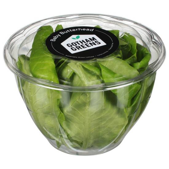 Order Gotham Greens · Baby Butterhead (1 ct) food online from Jewel-Osco store, Glenview on bringmethat.com