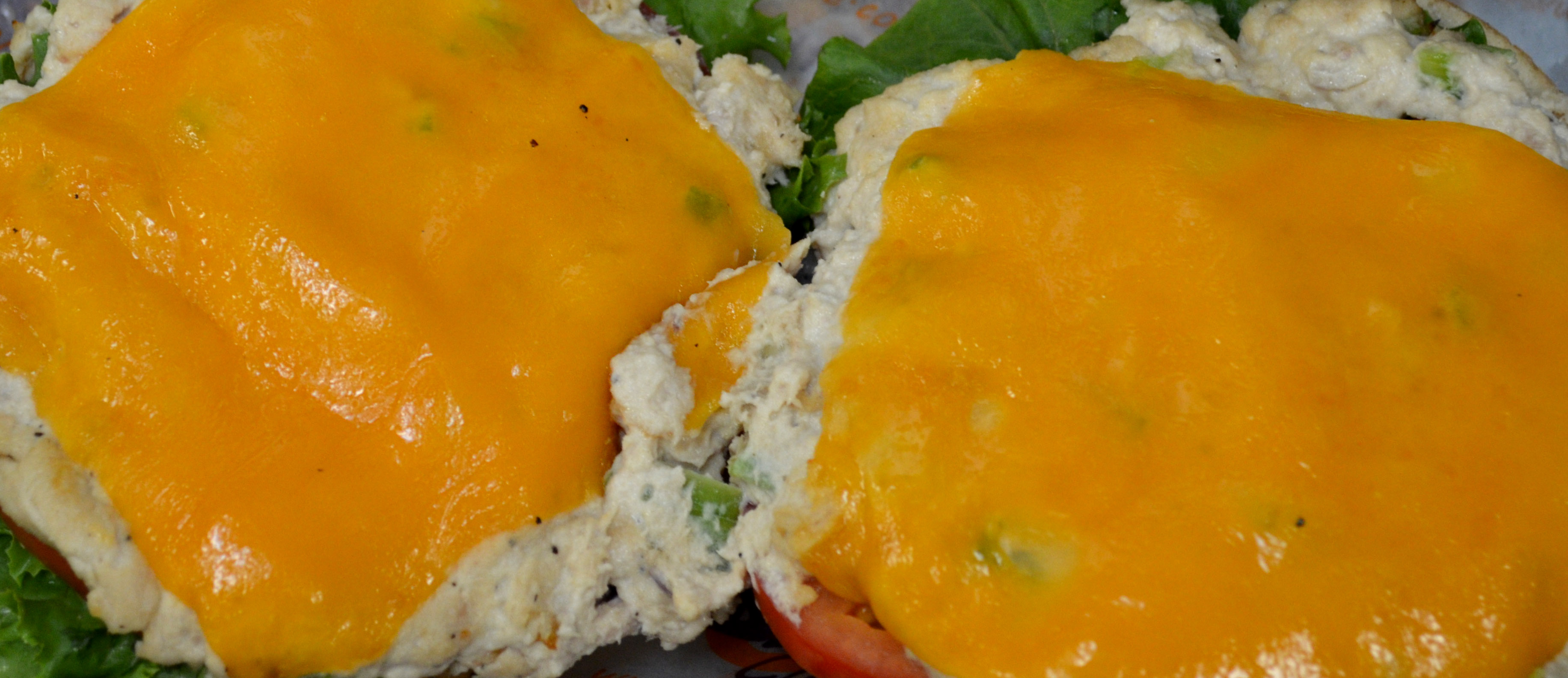 Order Tuna Salad Melt food online from Bagel Cafe store, Herndon on bringmethat.com