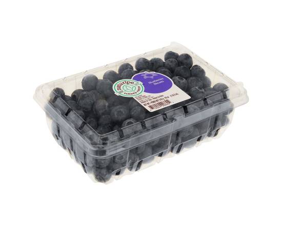 Order Naturipe · Blueberries (18 oz) food online from Winn-Dixie store, Pinson on bringmethat.com