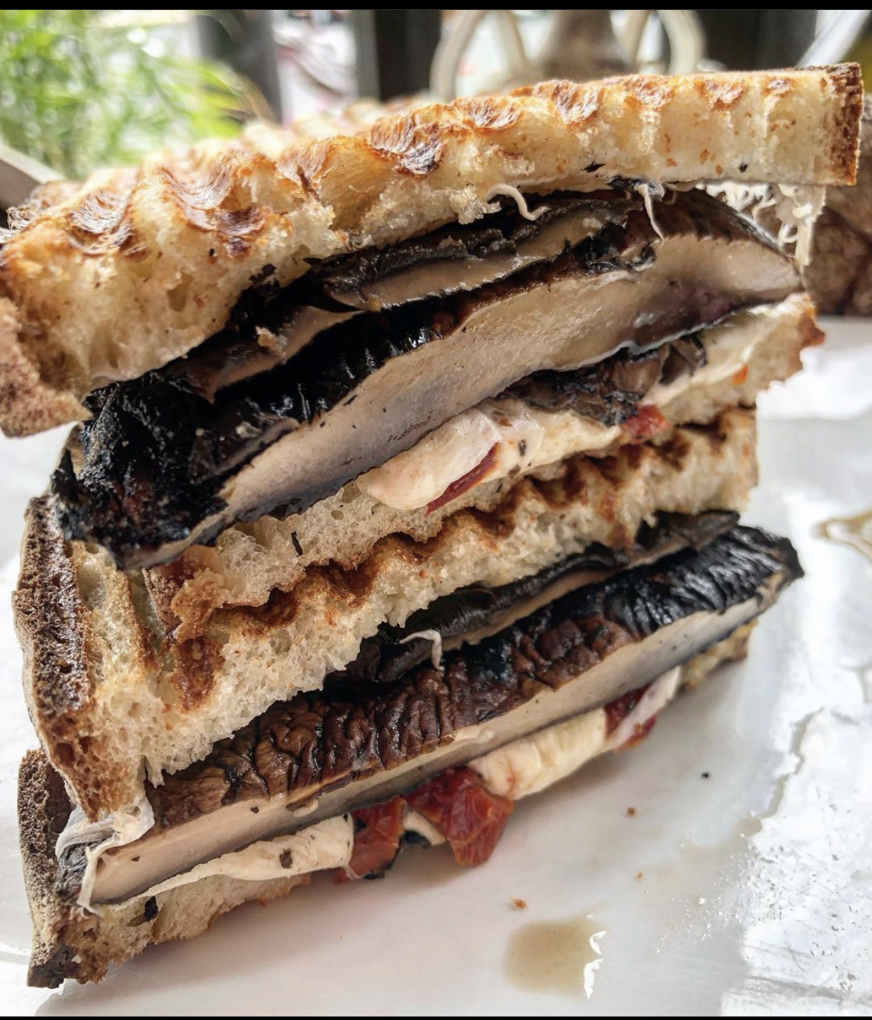 Order S5. Grilled Portobello Mushrooms Panini food online from Panini Grill store, Freehold on bringmethat.com