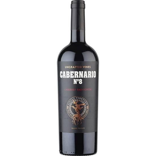 Order Cabernario No.8 Cabernet Sauvignon - 750ml food online from Total Wine &Amp; More store, Sand City on bringmethat.com
