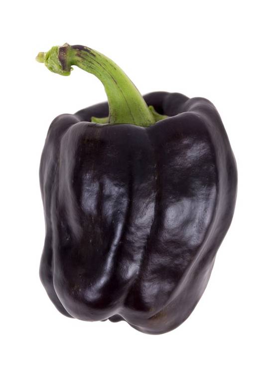 Order Purple Bell Peppers (1 bell pepper) food online from Safeway store, Corte Madera on bringmethat.com