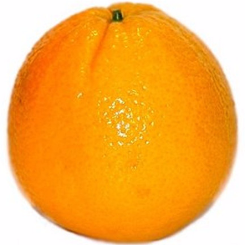 Order Orange food online from 7-Eleven store, Loxahatchee on bringmethat.com