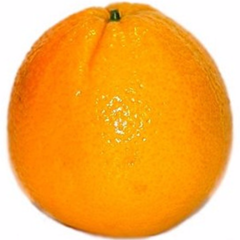 Order Orange food online from 7-Eleven store, Chandler on bringmethat.com