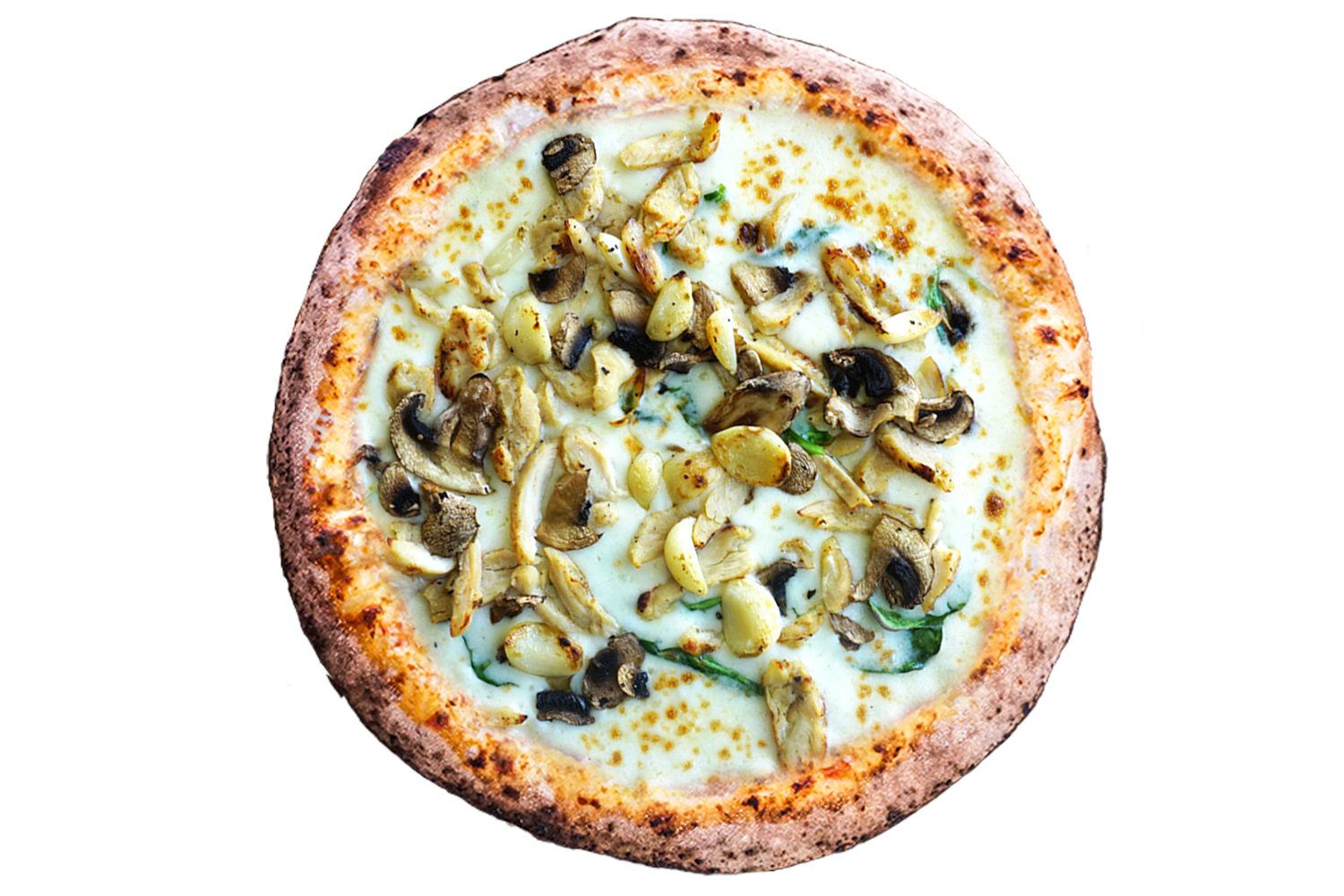 Order White Shroom Pizza food online from Urban Bricks Pizza store, San Antonio on bringmethat.com