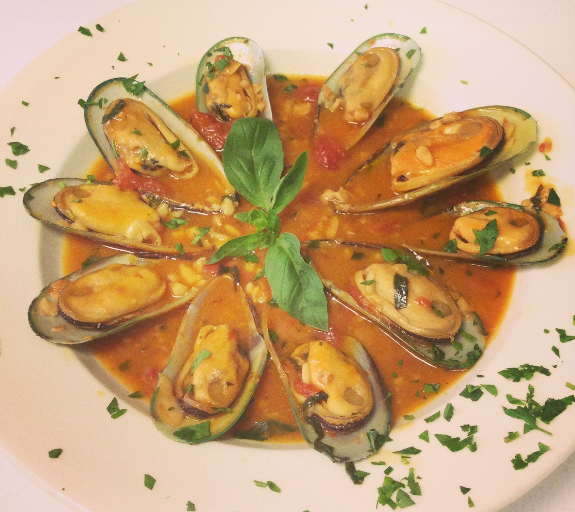 Order Red Mussels food online from Westbrook Pizzeria store, Cortlandt Manor on bringmethat.com