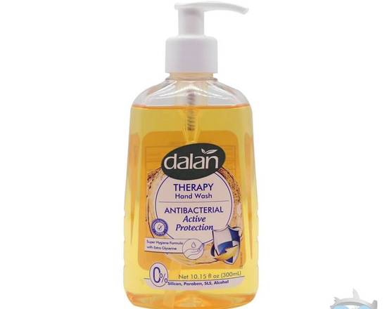 Order Dalan Hand Wash (10.5 oz) food online from Ctown Supermarkets store, Uniondale on bringmethat.com