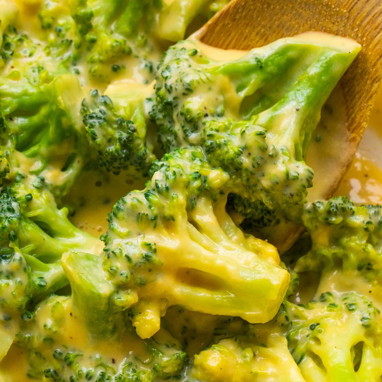 Order Broccoli with Cheese food online from Jackson Hole store, Englewood on bringmethat.com