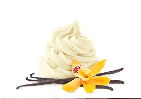 Order Tahitian Vanilla Bean Frozen Yogurt food online from 16 handles catering store, New York on bringmethat.com