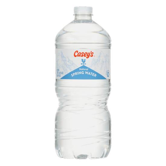 Order Casey's Water 1L food online from Casey'S store, MARTIN on bringmethat.com