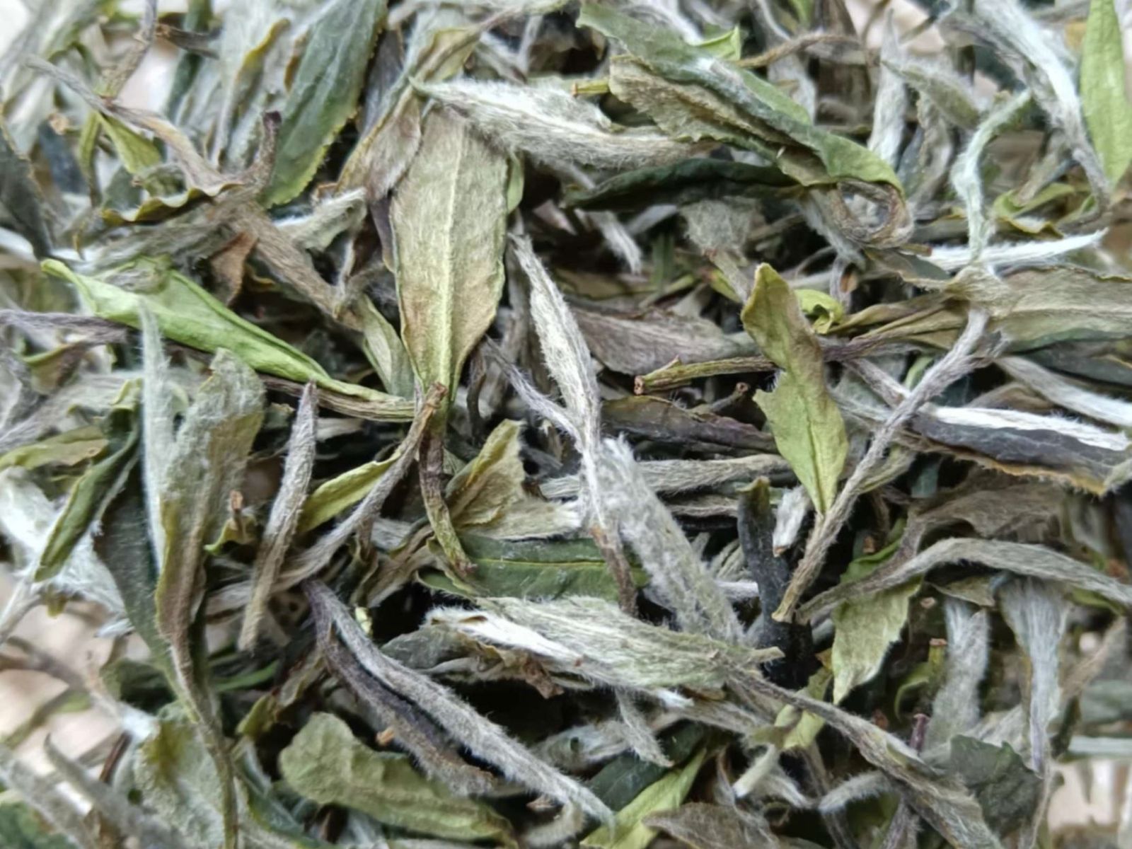 Order Pure Tea - Organic White Peony food online from Hn Tea store, Tustin on bringmethat.com