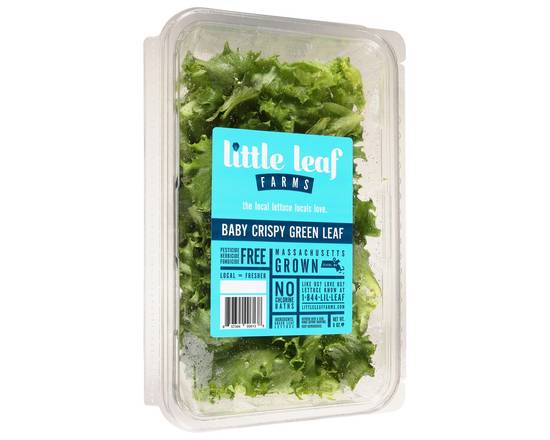 Order Little Leaf · Crispy Green Leaf Lettuce (8 oz) food online from Shaw's store, Raynham on bringmethat.com