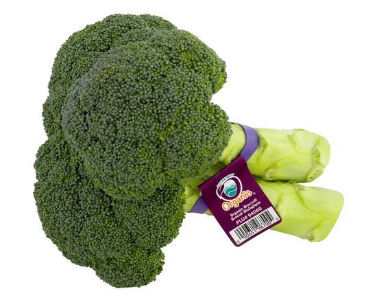 Order Organic Broccoli (1 ct) food online from Safeway store, Herndon on bringmethat.com