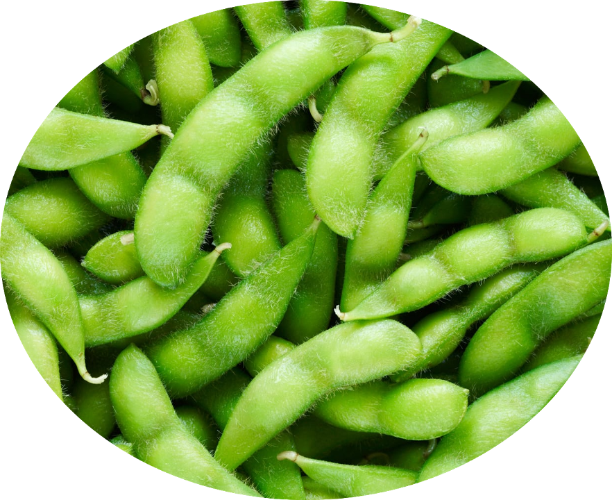 Order Edamame food online from Ginza Grill store, North Charleston on bringmethat.com