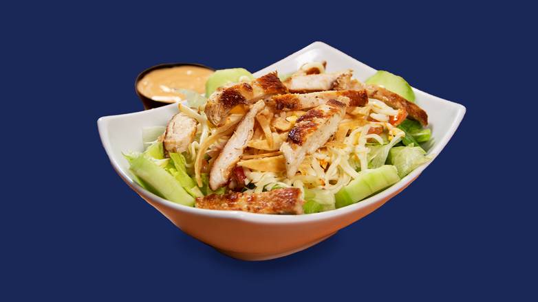 Order Palenque Salad w/ Chicken Fajita food online from Taco Palenque store, Helotes on bringmethat.com