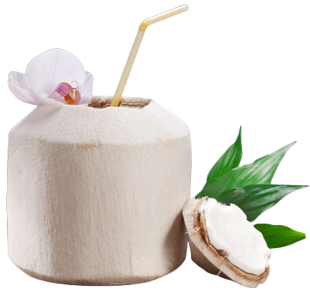 Order Fresh Young Coconut food online from At Bangkok store, Los Angeles on bringmethat.com