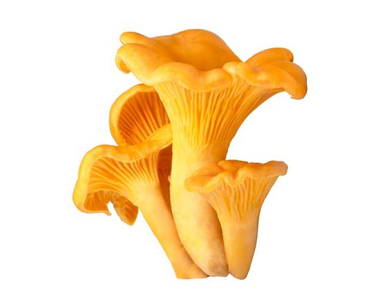 Order Mushrooms Chanterelle food online from Safeway store, Gilroy on bringmethat.com