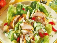 Order Grilled Chicken over Tossed Salad food online from Bella Notte Italian Restaurant & Pizza store, Little Falls on bringmethat.com