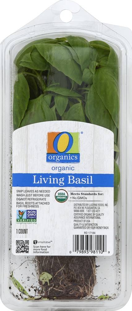 Order O Organics · Living Basil (1 ct) food online from Safeway store, Grass Valley on bringmethat.com