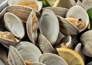 Order TN Clams Dozen food online from Earp's Seafood Market store, Raleigh on bringmethat.com